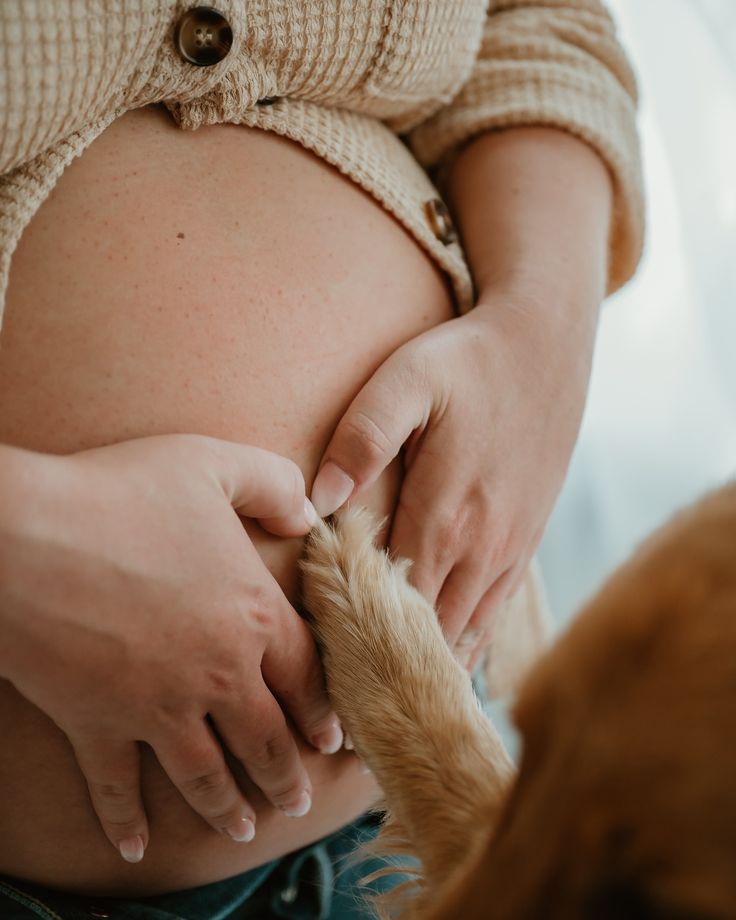 a pregnant woman holding her dog's paw as she holds it in her lap