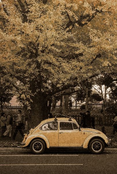 an old yellow car parked on the side of the road in front of a tree