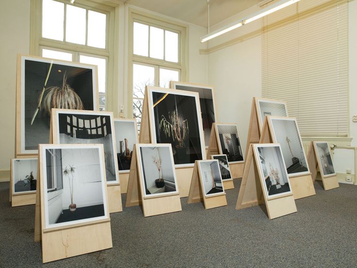 several pictures are displayed on easels in an empty room