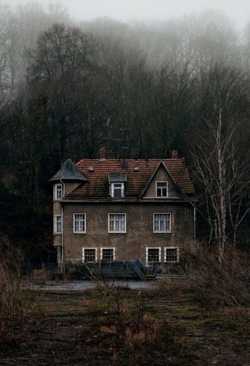 an old house in the middle of a forest on a foggy day with lots of trees