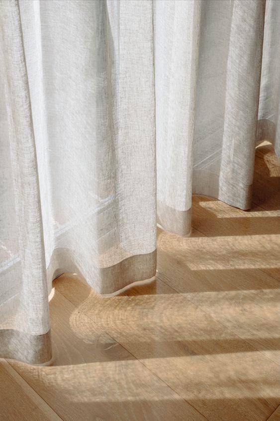 a cat sitting on the floor in front of curtains with sunlight streaming through them,