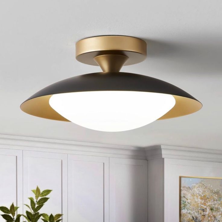 an overhead light fixture in a room with white walls and wood flooring, along with a potted plant