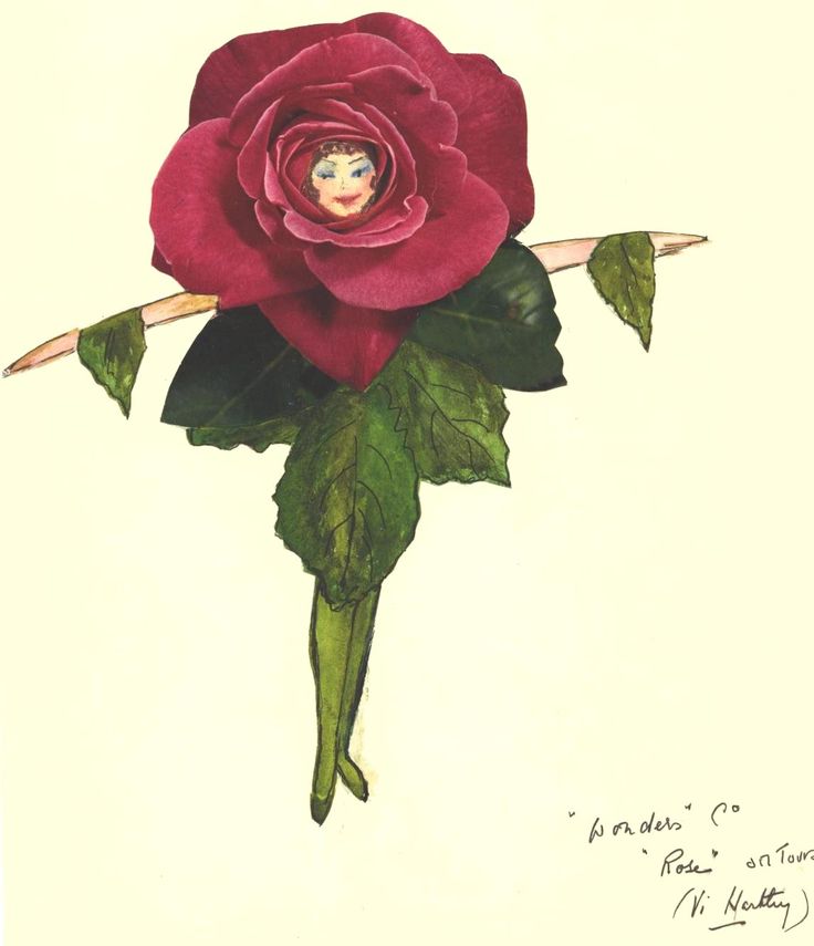 a drawing of a red rose with green leaves