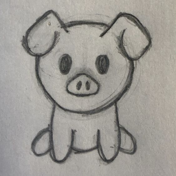 a drawing of a little pig sitting down