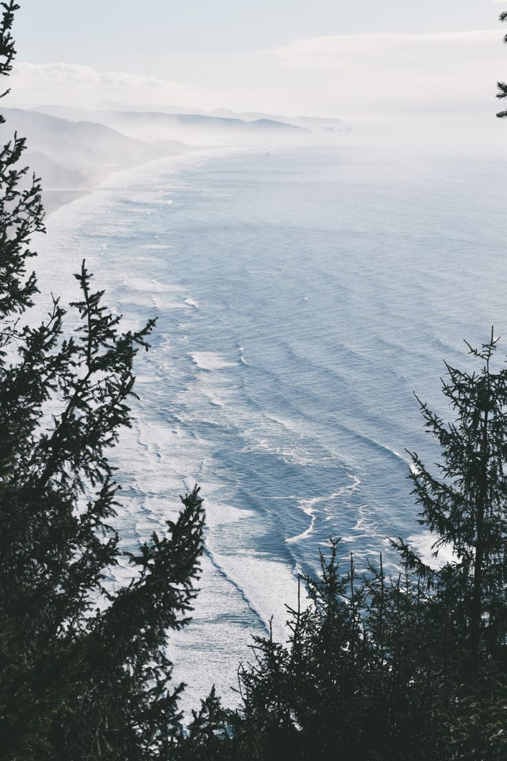 the ocean is next to some trees by the shore