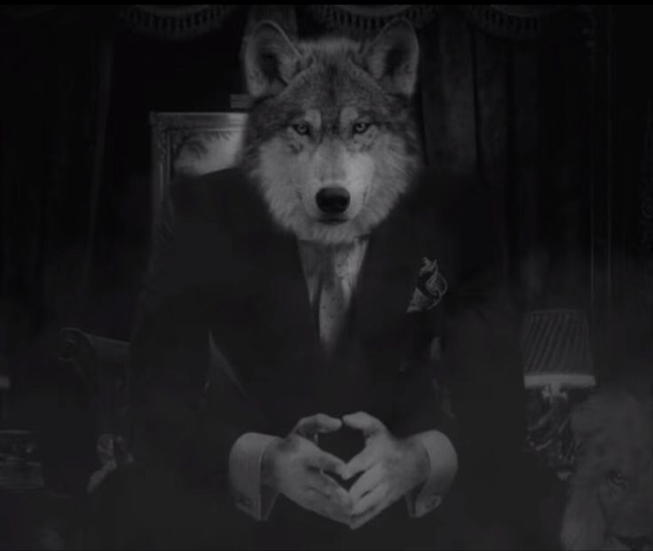 a man in a suit and tie sitting next to a wolf