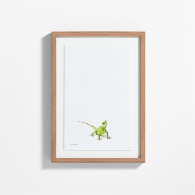 a framed photograph of a green lizard on a white wall with a wooden frame in front of it