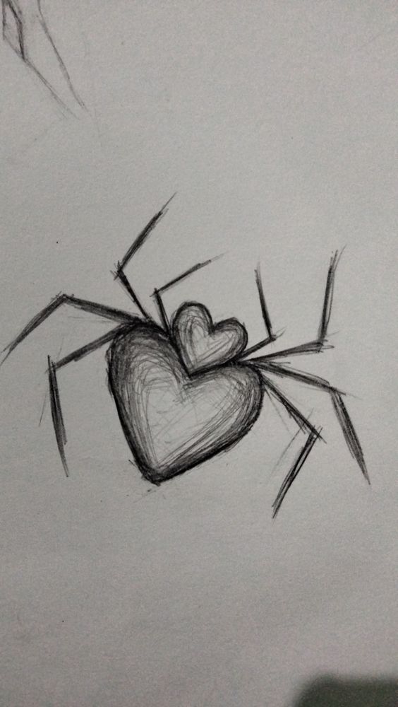 a drawing of a spider holding a heart