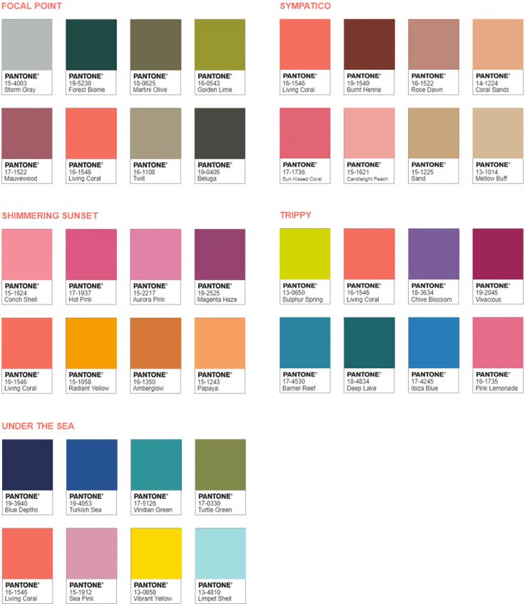 the color chart for different shades of paint