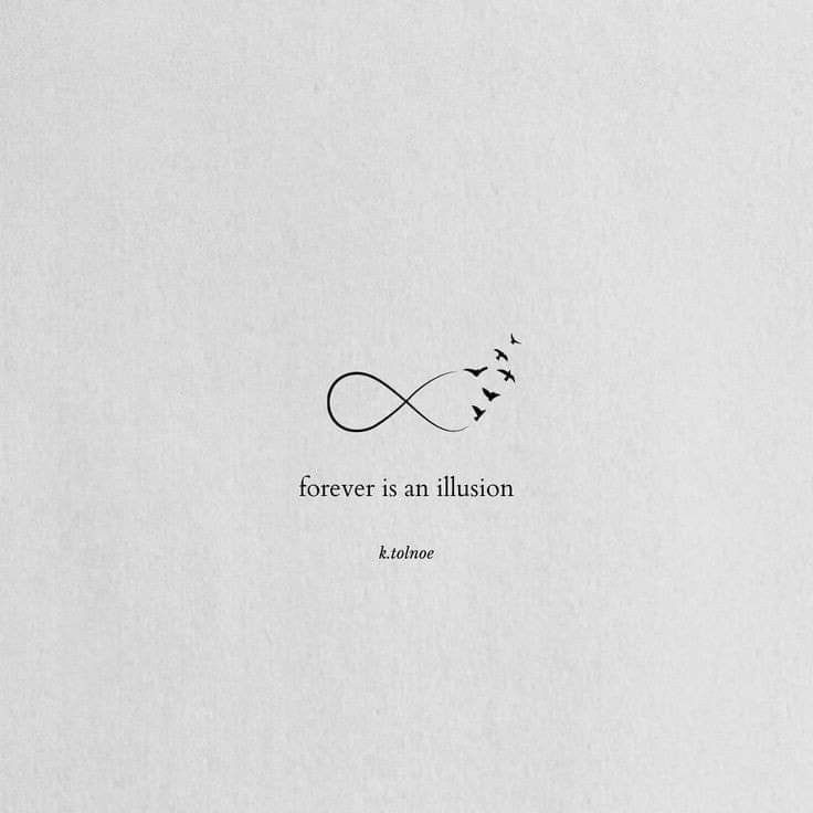 an image of a book cover with birds flying in the sky and quote about forever is an illusion