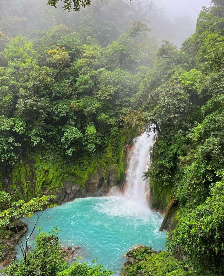 a waterfall with blue water surrounded by trees