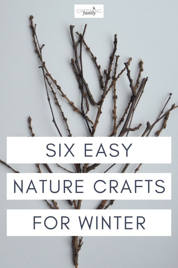 six easy nature crafts for winter