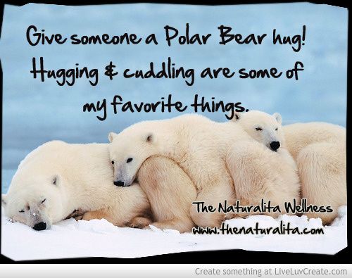 three polar bears are huddled together in the snow and one is saying, give someone a polar bear hug hugging & cuddling are some of my favorite things