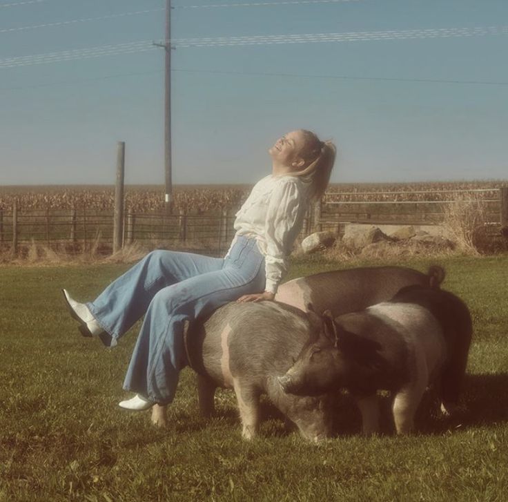 a woman sitting on top of three pigs in a field