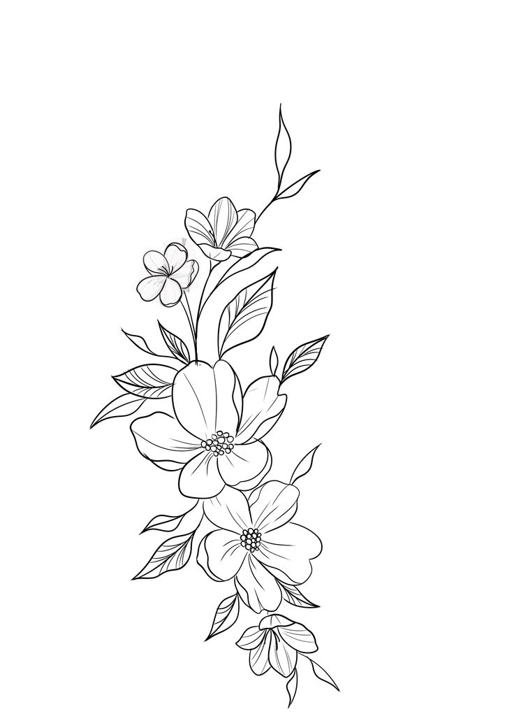 a line drawing of flowers on a white background