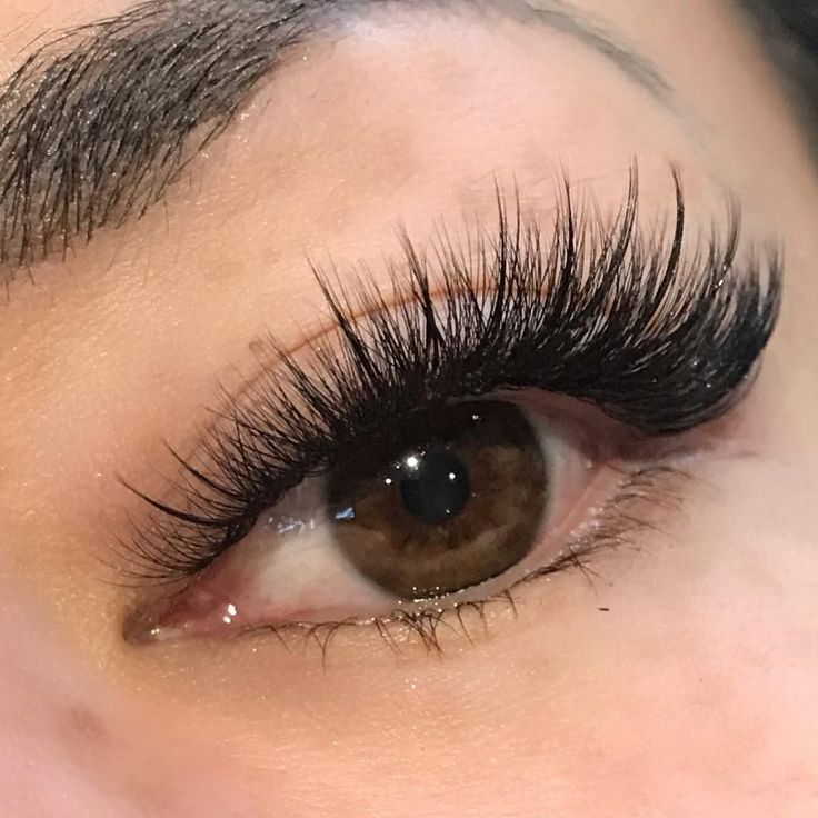 Can you believe this is eyelash extension? #lashes #eyelashextensions #volumelashes #minklashes #classiclashe #lashesfordays #eyelashextension #minkeyelashes #falselashes #longlashes #3dlashes #hybridlashes #lashesonpoint #individuallashes #3dminklashes #naturallashes #russianvolumelashes #silklashes #lovelashes #fakelashes Long Hair Clip, Eyelash Extensions Styles, Perfect Eyelashes, Lash Extensions Styles, Silicone Makeup, Eyelash Extentions, Smink Inspiration, Eyelash Sets, Individual Eyelashes