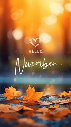 autumn leaves with the words hello november