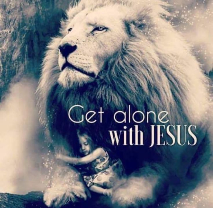 When you spend time with Jesus, it will be undeniable. His power and His glory will be reflected in you to the world. His presence upon you will meet needs everywhere you go. Take time to be with Jesus today! #Jesus Studying Bible, The Book Of Genesis, Lion Of Judah Jesus, Jesus Our Savior, Lion Quotes, Seek God, Jesus Christ Quotes, Book Of Genesis, Tribe Of Judah