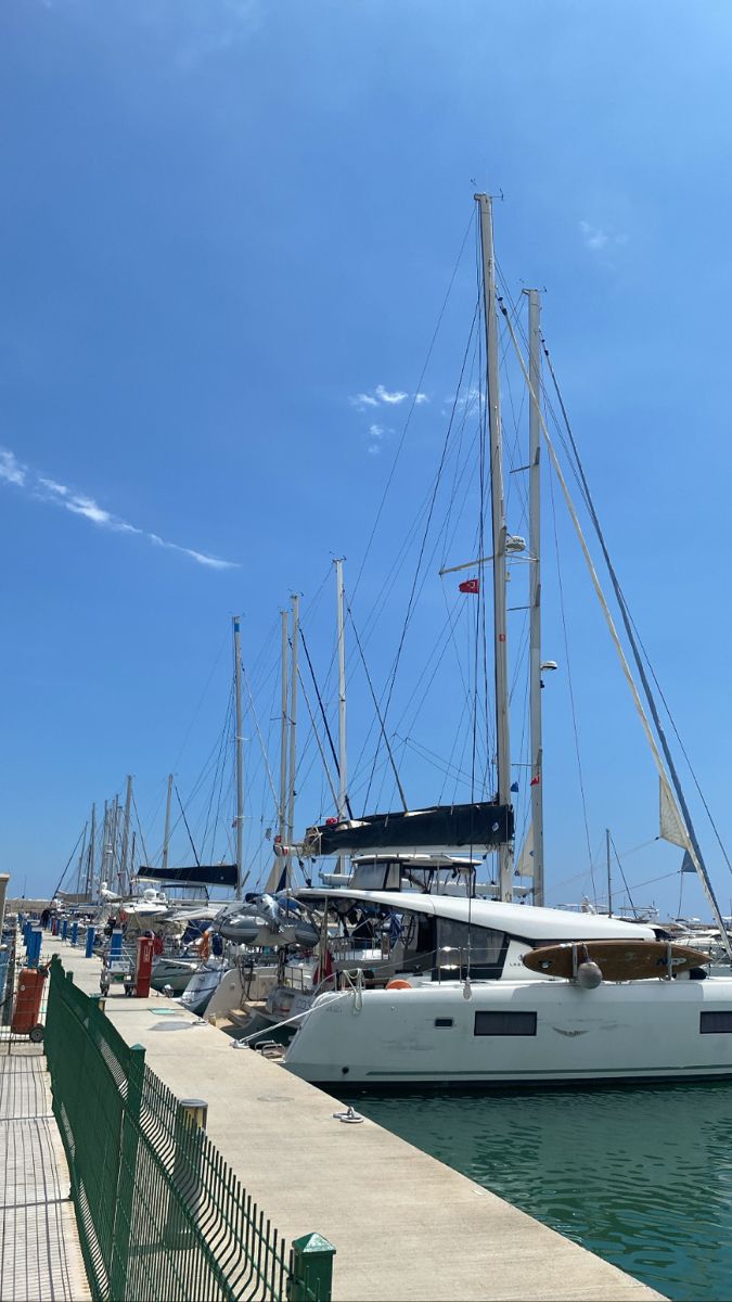 several sailboats docked at a marina on a sunny day