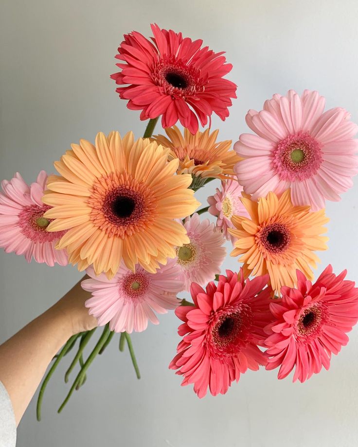 a hand holding a bouquet of pink and orange flowers on a white wall behind it