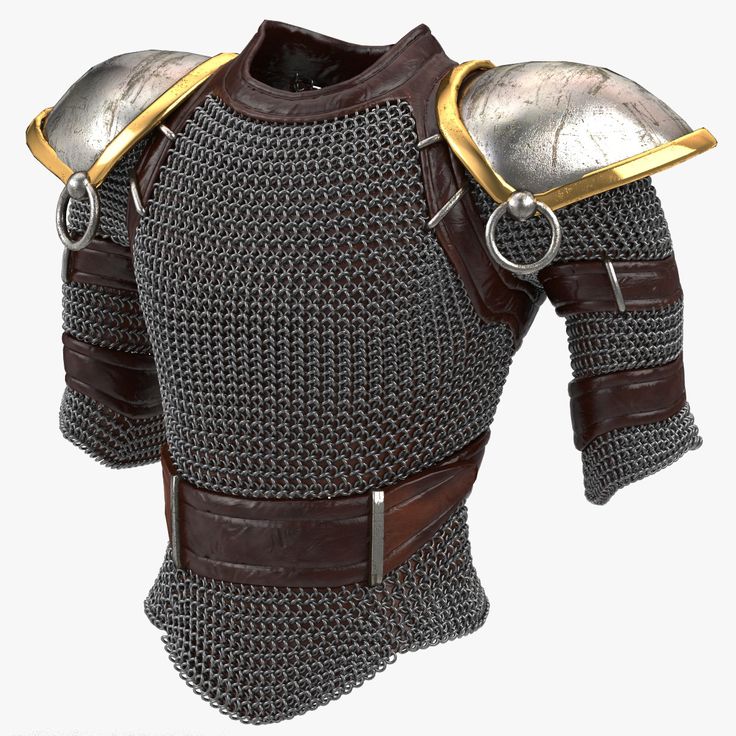 the armor is made up of metal and leather