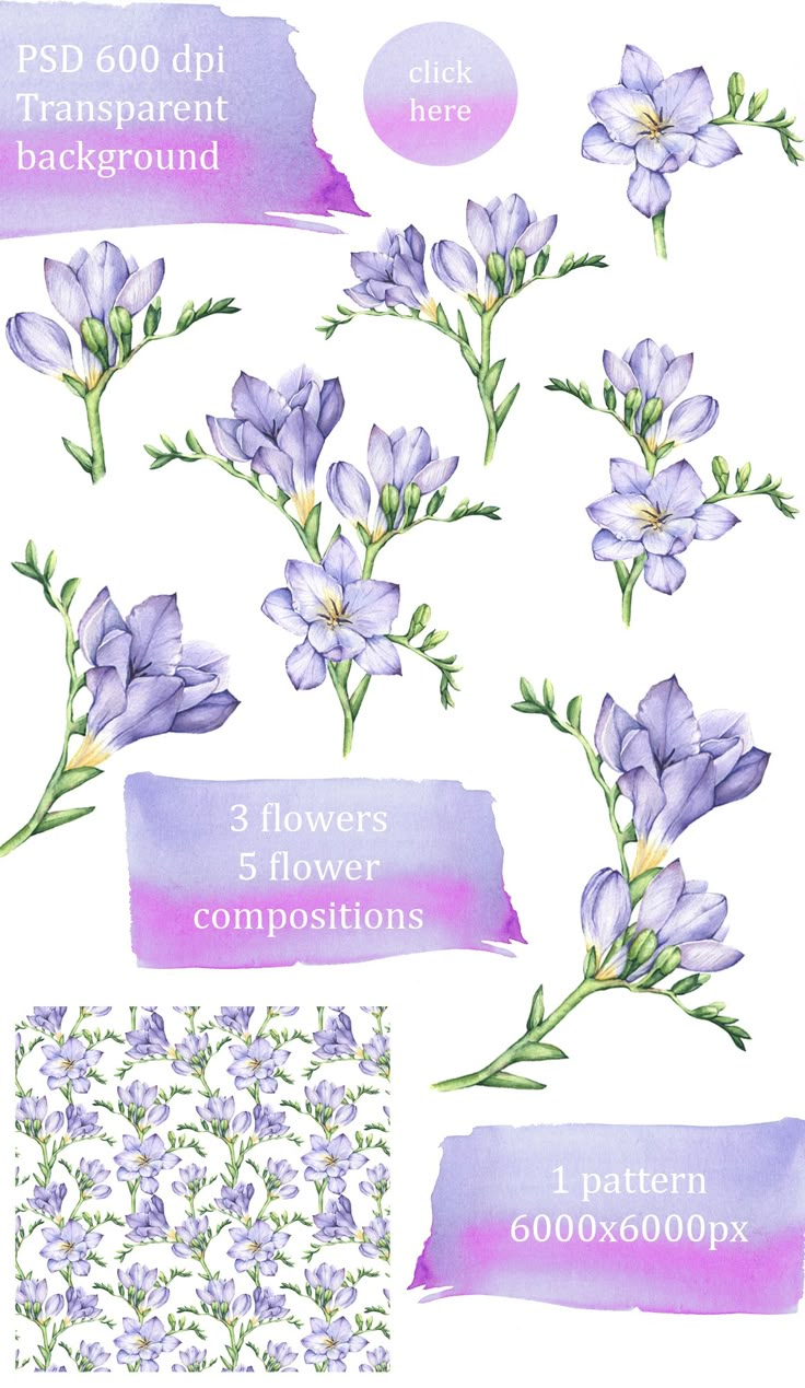 watercolor flowers are shown with different colors and sizes, including purples, lavenders,