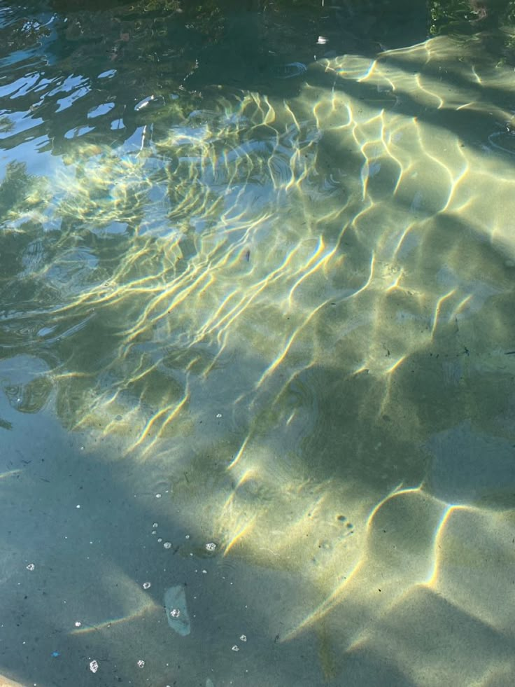 the water is crystal clear and blue with little fish swimming in it's bottom