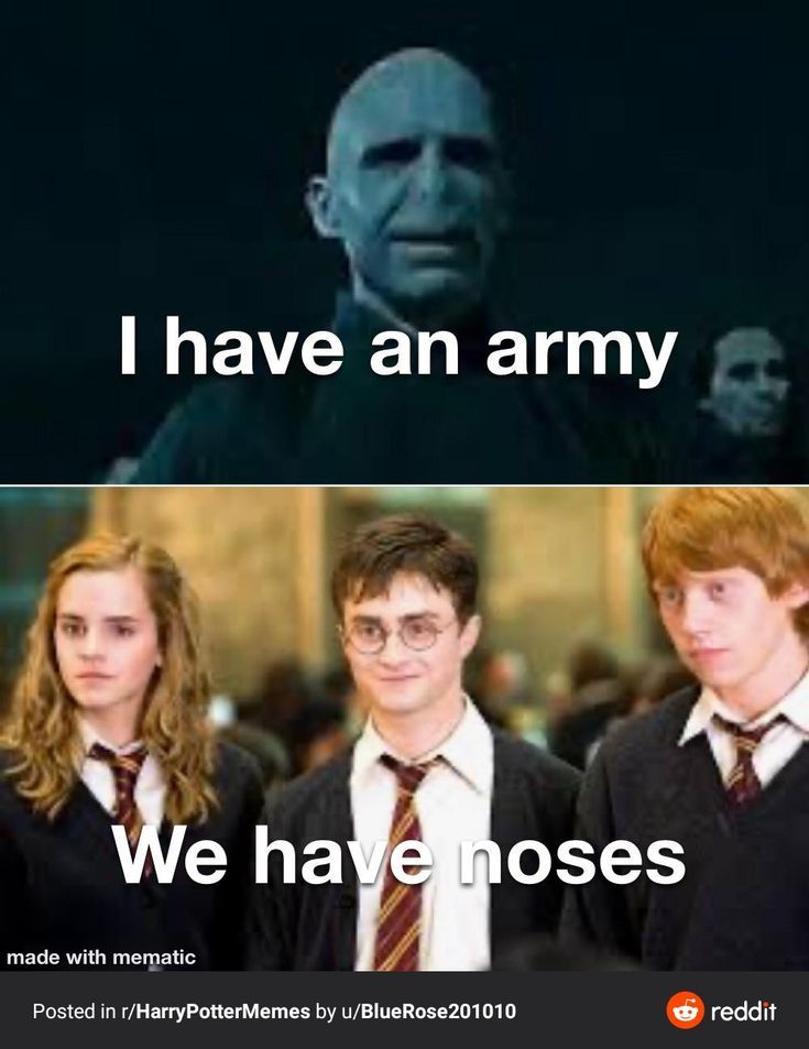 harry potter and hermione's hogwarts in harry potter memes