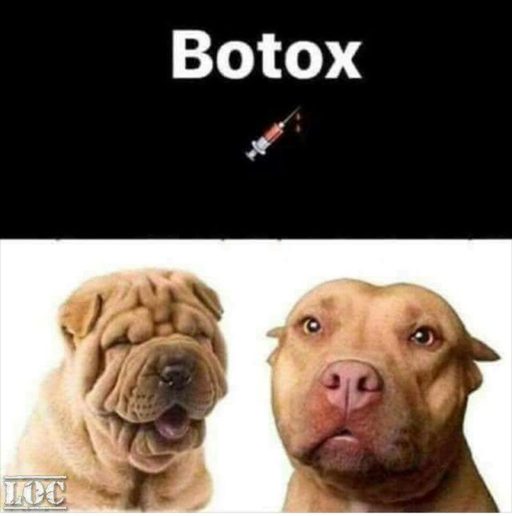 two dogs that are sitting next to each other with the words botox on them