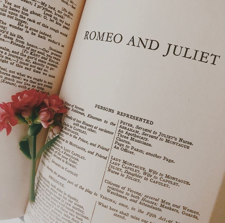 a red flower sitting on top of an open book with the words rome and juliaet