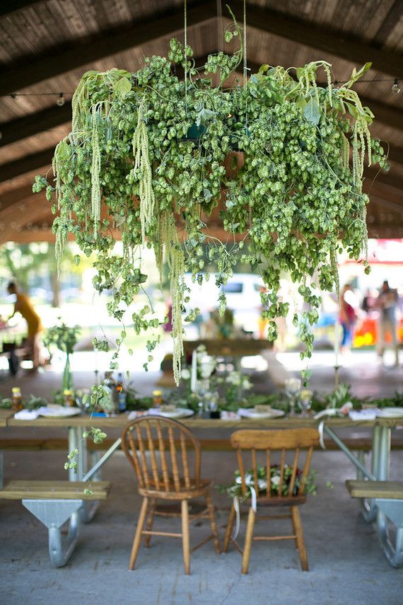 several chairs and tables with plants hanging from them