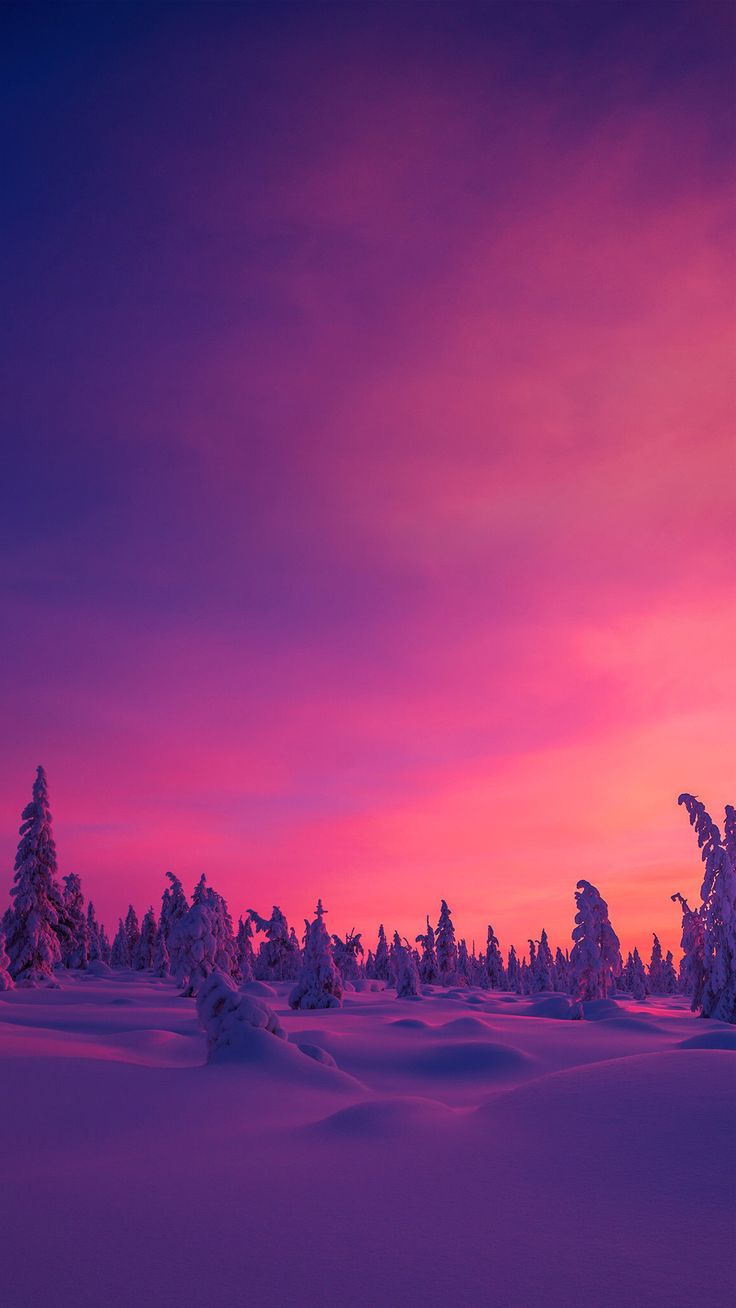 the sky is pink and purple as it stands over snow - covered trees at sunset