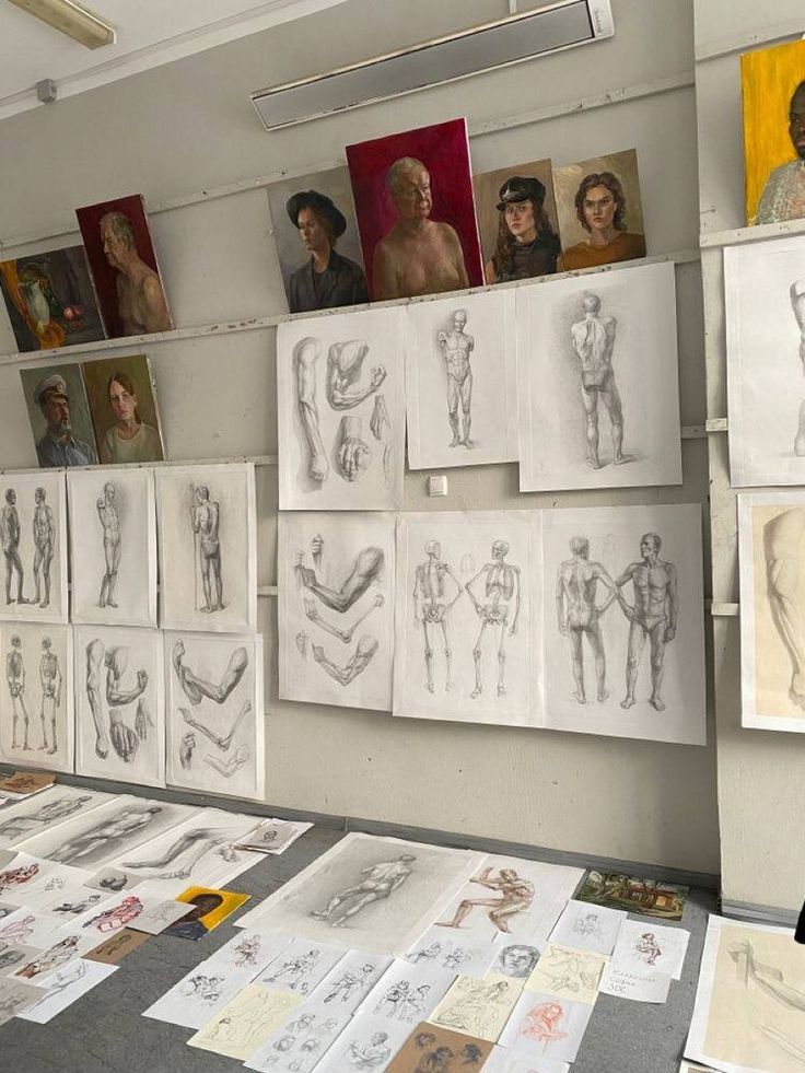 many drawings are displayed on the wall in an art studio