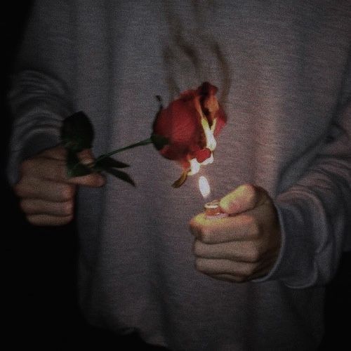 a person holding a rose in their hand with a lit match between the two fingers