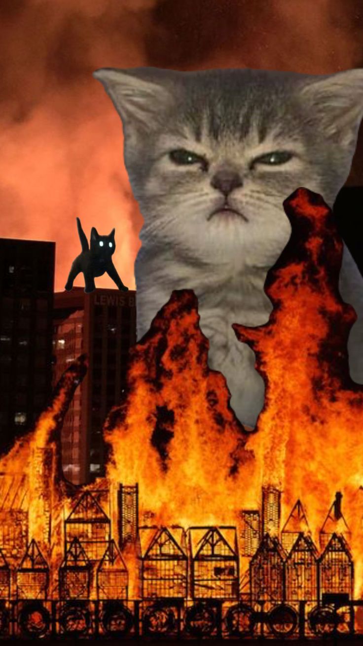 a cat sitting on top of a fire in the middle of a city