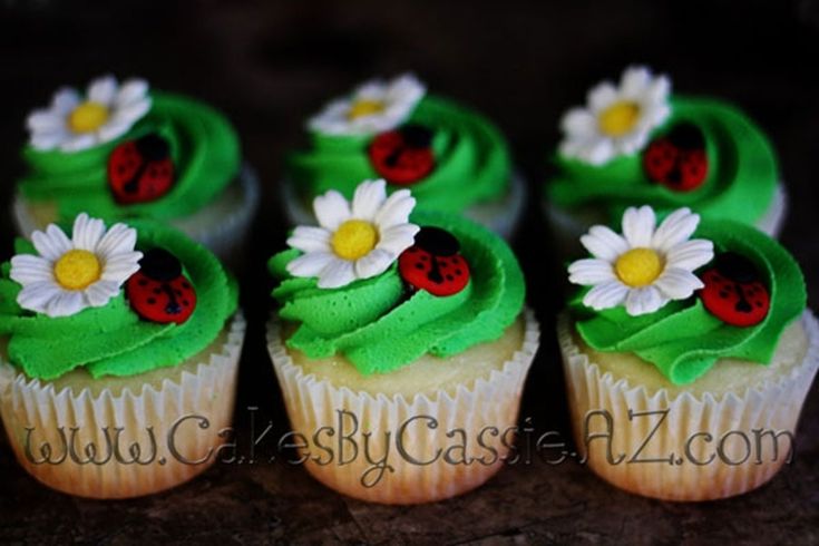 cupcakes with green frosting and ladybugs on them