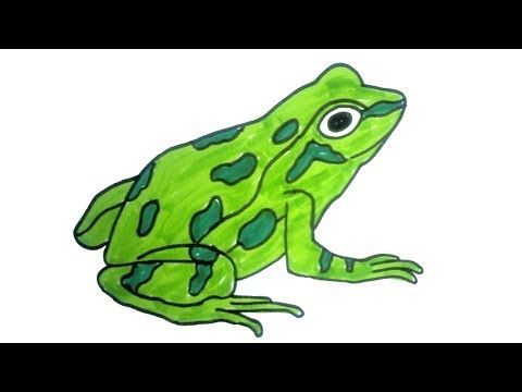 a drawing of a green frog with black spots on it's body and legs