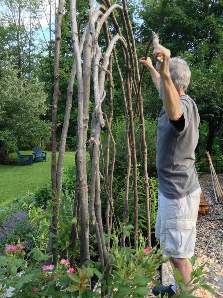 a man is trimming the branches of a tree