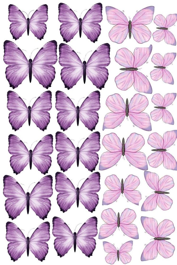 purple butterflies are arranged in rows on a white background