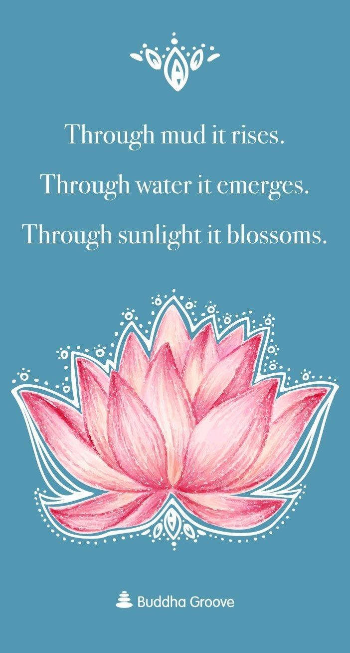 a pink lotus flower with the words through mud it rises through water it energes through sunlight it blossoms