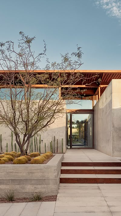 an entry way with steps leading to the front door and cactus trees in the foreground