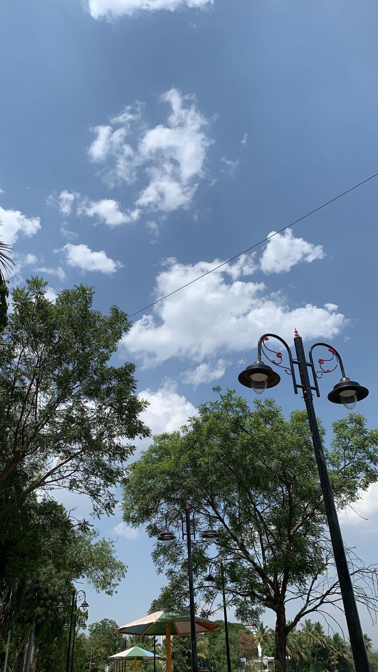 two basketball hoops hanging from the side of a street light in front of trees