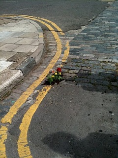 a yellow line painted on the side of a road next to a flower pot with flowers in it