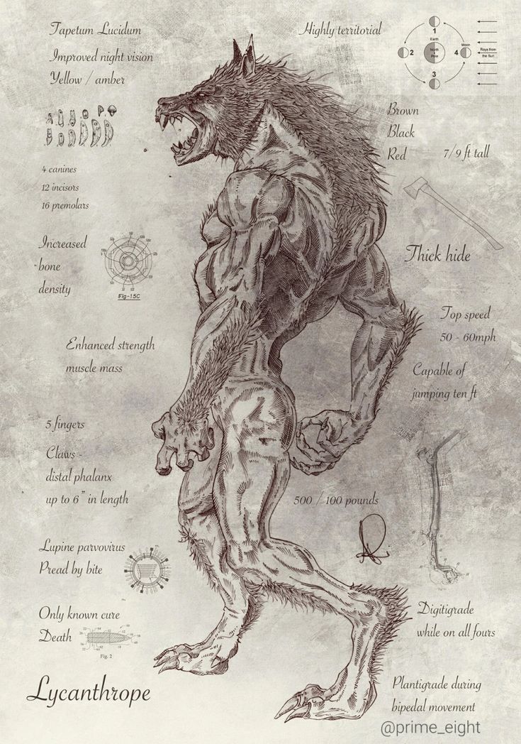 a drawing of a wolf standing on its hind legs, with the words luganthrope written below it