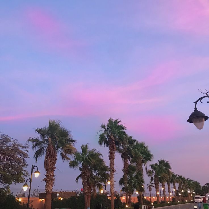 palm trees and street lights in front of a purple sky at dusk with pink clouds