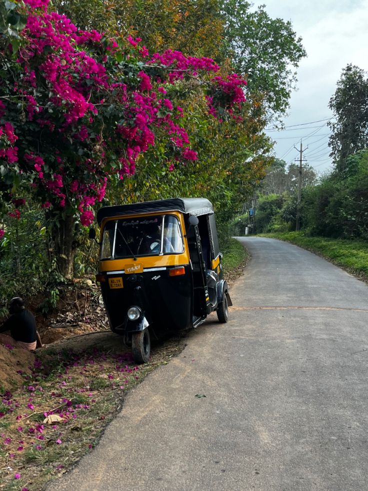 a small black and yellow vehicle parked on the side of a road next to purple flowers