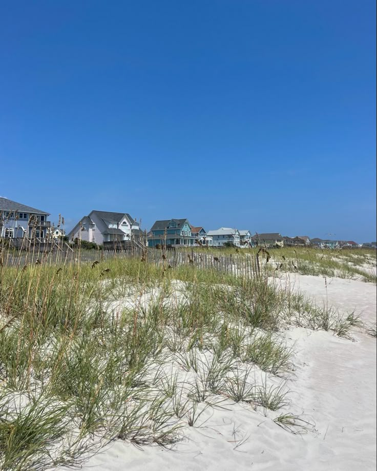 houses on the beach with grass growing in front of them and clear blue sky above