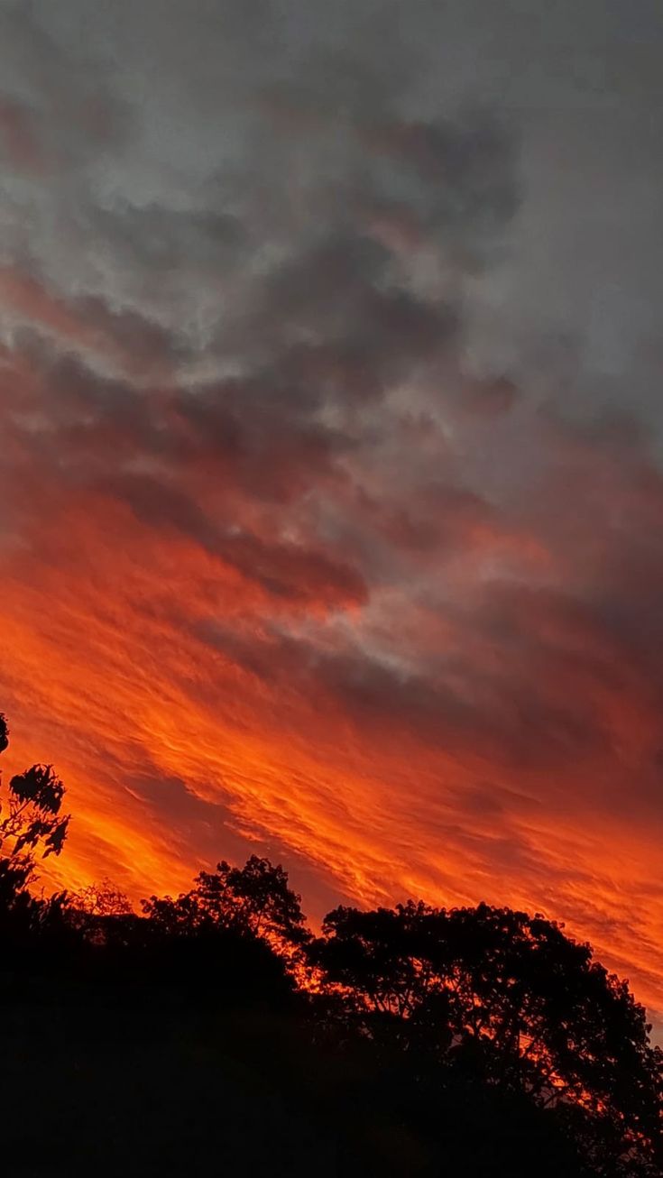 an orange and red sky with trees in the foreground