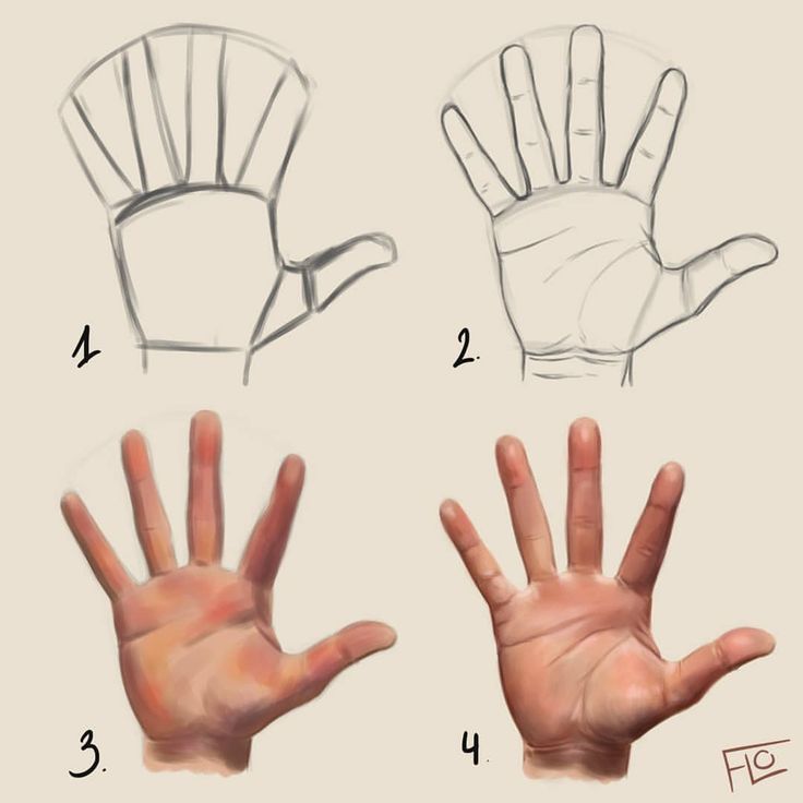 the steps to draw a hand with different angles and gestures for each person's hands