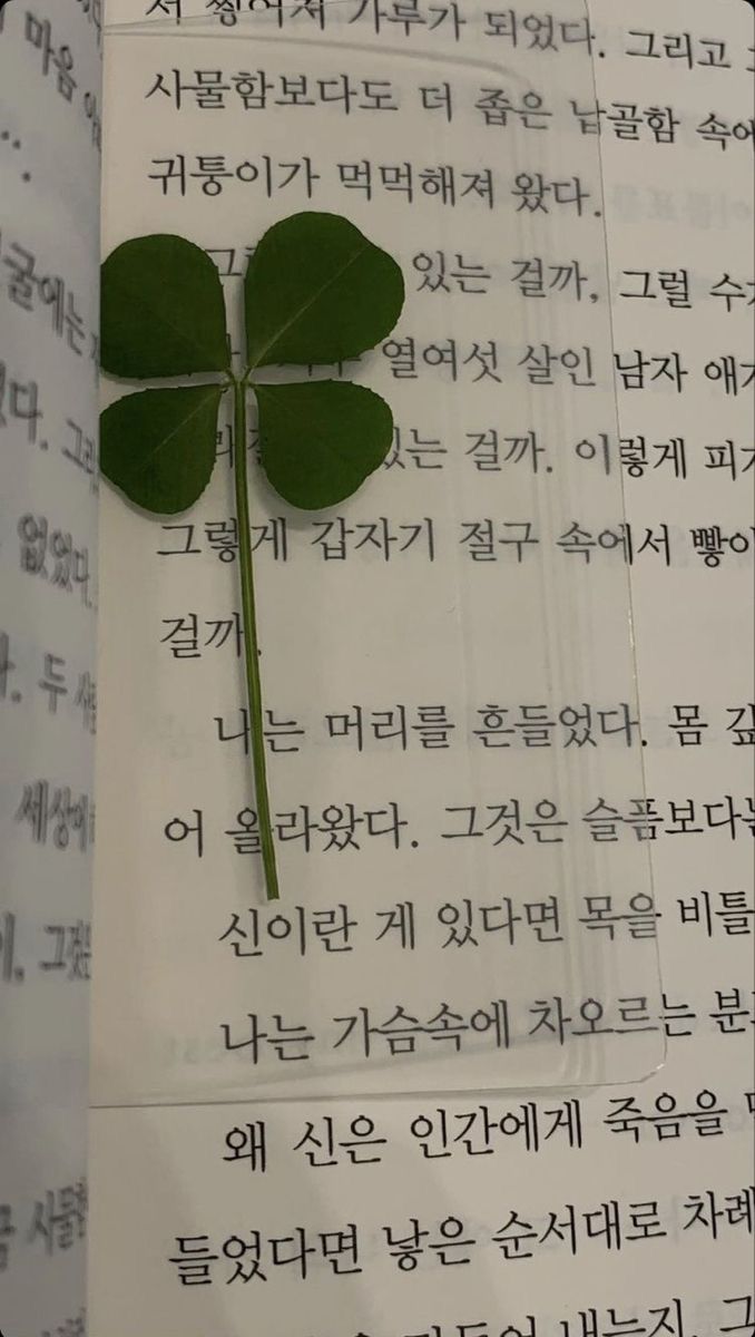 a piece of paper with writing on it and a single leaf laying on top of it